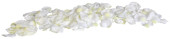 Rosenblütenblätter Luxor weiss 6.5cm 150 Stk./Pack