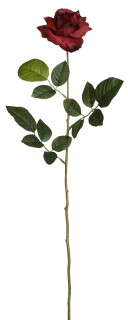 Rose Luxor rot H 70 x Ø 10 cm