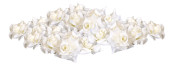 Rosenköpfe Deluxe weiss Ø 10cm 24 Stk./Btl.