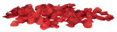 Rosenblütenblätter Deluxe 5 - 6cm 150 Stk./Btl....