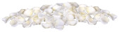 Rosenblütenblätter Deluxe 5 - 6cm 150 Stk./Btl....