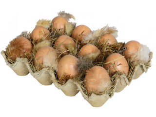 12 Eier + Federn + Gras auf Eierkarton  Styro/Natur 20 x 15 x 7 cm
