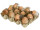 12 Eier + Federn + Gras auf Eierkarton  Styro/Natur 20 x 15 x 7 cm
