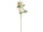 branche de marguerite blanc-jaune 52cm