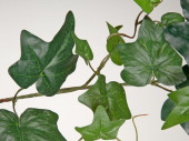Efeugirlande Holland grün 180cm