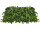 Gartenblätter-Mix-Platte 50 x 50cm, grün