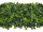 Gartenblätter-Mix-Platte 50 x 50cm, grün
