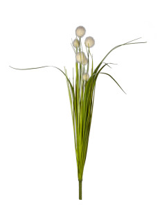 Kugelgrasbusch crème 70cm zum Stecken