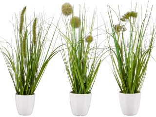 Grasbusch mit Blüten im Topf grün/weiss, H 36cm, gemischt 3 Sorten, pro Stück