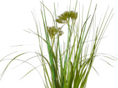Grasbusch mit Blüten im Topf grün/weiss, H 36cm, gemischt 3 Sorten, pro Stück