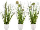 Grasbusch mit Blüten im Topf grün/weiss, H...