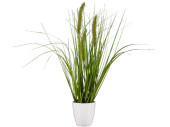 Grasbusch mit Blüten im Topf grün/weiss, H 36cm, gemischt 3 Sorten, pro Stück