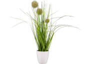 Grasbusch mit Blüten im Topf grün/weiss, H 36cm, gemischt 3 Sorten, pro Stück