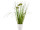 Grasbusch mit Blüten im Topf grün/weiss, H 36cm, gemischt 3 Sorten, pro Stück