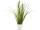 Grasbusch mit Blüten im Topf grün/weiss, H 36cm, gemischt 3 Sorten, pro Stück