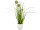 Grasbusch mit Blüten im Topf grün/weiss, H 36cm, gemischt 3 Sorten, pro Stück