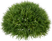 Lavendelgras-Halbkugel 21cm grün