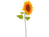 Sonnenblume Tiffany H 85cm Ø 32cm, orange
