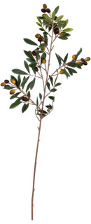 Olivenzweig natural Deluxe braun-grün, 90cm