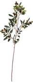 Olivenzweig natural Deluxe braun-grün, 90cm