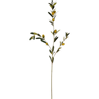 Olivenzweig natural 83cm