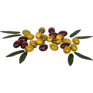 Oliven natural 24 Stück grün-braun Ø 2 x 3cm