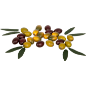 Oliven natural 24 Stück grün-braun Ø 2 x...