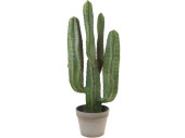 Kaktus im Topf 68cm 4 Arme