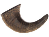 Büffelhorn natur-braun 12cm