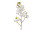 Orchideenzweig natural weiss 14 x 48cm