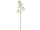 Orchideenzweig natural weiss 14 x 48cm