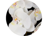 Orchideen natural weiss 20 x 98cm