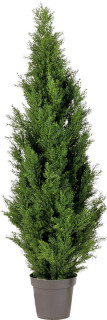 Zypresse grün 180 cm hoch getopft