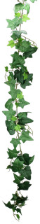 Efeugirlande grosse Blätter L 160cm, Blätter 5 - 10cm grün uni