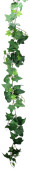 Efeugirlande grosse Blätter L 160cm, Blätter 5...