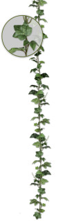 Efeugirlande Englisch grün L 180cm, Blätter 4 - 7cm
