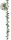 Efeugirlande Englisch grün L 180cm, Blätter 4 - 7cm