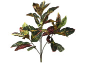 Croton-Busch grün/bunt 75cm hoch 32 Blätter