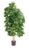 Schefflera Natural grün 140cm, 1081 Blätter,...