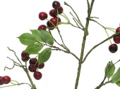 Kirschenzweig 97cm grün/rot