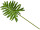 Monsterablatt grün L 91cm Blatt 40cm, Stiel 51cm
