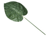 Caladium-Blatt grün 90cm lang, Blatt 33 x 40cm