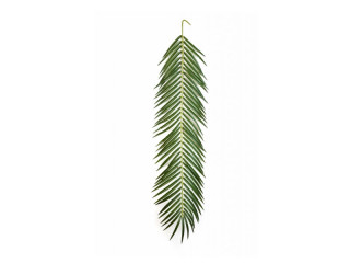 Arecapalmzweig grün L 107cm