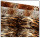 Stoff Tierfell Panther 150cm breit Fellimitat