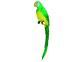 Papagei sitzend grün 70cm mit Federn