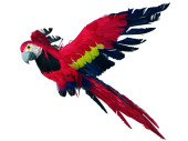 Papagei fliegend rot/bunt 100cm mit Federn