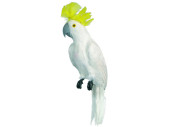 Kakadu weiss sitzend 50cm mit Federn