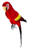 Papagei Tropic sitzend rot 18 x 16 x  H 67cm