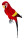 Papagei Tropic sitzend rot 18 x 16 x  H 67cm