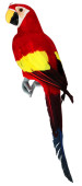 Papagei Tropic sitzend rot 13 x 10 x  H 42cm